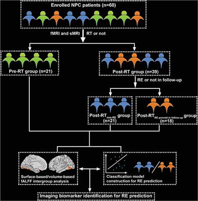 Surface-Based Falff: A Potential Novel Biomarker for Prediction of Radiation Encephalopathy in Patients With Nasopharyngeal Carcinoma